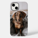 Search for animals iphone cases Dachshund