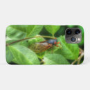 Search for cicada iphone cases Insect