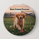Search for mans best friend accessories Puppy