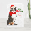Search for bernese mountain dog christmas cards Dogs