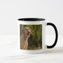 Search for back yard mugs Outdoors