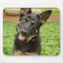 Search for german shepherd mousepads Animal
