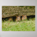 Search for sibling posters Animals