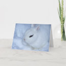Search for warm easter cards Bunny