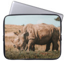 Search for grazing cases Nature