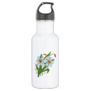 Search for tulip water bottles Daffodil