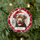 Search for staffordshire bull terrier christmas tree decorations Cute