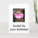Search for dentist birthday cards Smile