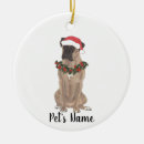 Search for fawn christmas tree decorations Boxer