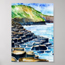 Search for basalt Vintage