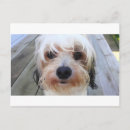 Search for penpalling postcards Cute