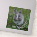 Search for fluffy bunny stickers Hare