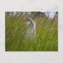 Search for cemeteries postcards Grave