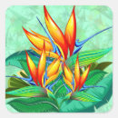 Search for bird of paradise stickers Botanical