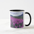 Search for fireweed mugs Yukon
