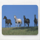 Search for arabs mousepads Standing