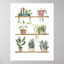Search for pot leaf posters Plants