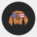 Search for hungarian vizsla stickers Animal