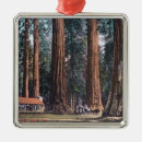 Search for big christmas tree decorations Park