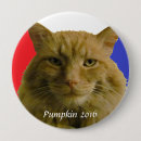 Search for pumpkin cat badges Kitty