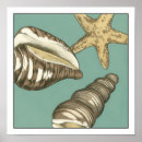 Search for teal background posters Megan meagher