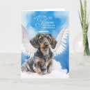 Search for dachshund angel postcards Dogs