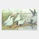 Search for marsh stickers Nature