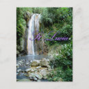 Search for st lucia postcards Trees