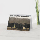 Search for to moo birthday cards Cow