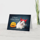 Search for devil pumpkin Cat