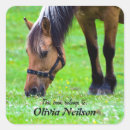 Search for horse lover stickers Cute