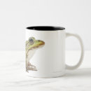 Search for edible mugs Wildlife