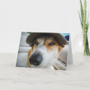 Search for corgi birthday cards Laugh