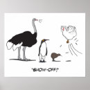 Search for kiwi bird art Funny