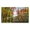 Search for fall tree business cards Nature