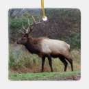 Search for elk christmas tree decorations Bull