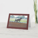 Search for harness cards Horse
