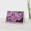 Search for gratitude attitude cards Grateful