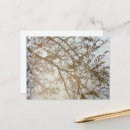Search for puddle postcards Trees