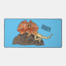 Search for cartoon dragon mousepads Lizard