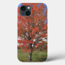 Search for maple tree iphone cases Fall
