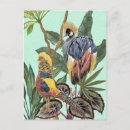 Search for watercolor bird postcards Jungle