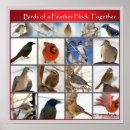 Search for birds of a feather posters Flock