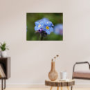 Search for nots posters Blue flowers