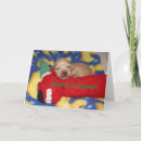 Search for dachshund merry christmas cards Pets