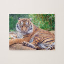Search for tiger puzzles Wild animals
