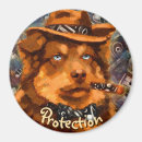 Search for handsome magnets Dog