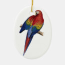 Search for macaw christmas tree decorations Colourful