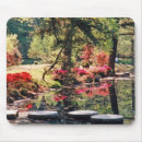 Search for garden path electronics Flowers