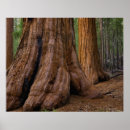 Search for giants posters Outdoors